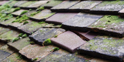 Stone Cum Ebony roof repair costs